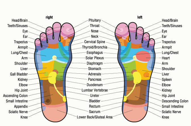 reflexology-image